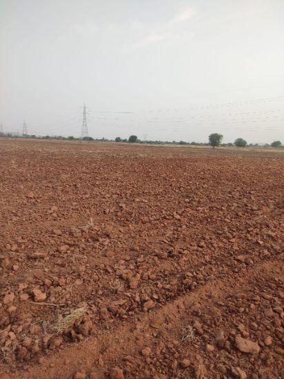 Picture of Agriculture land for sale at Dhone in Kurnool dist-Andhra Pradesh