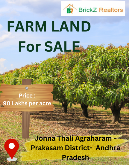Picture of Farm Land for Sale at Jonna Thali  Agraharam - Prakasam district-  Andhra Pradesh