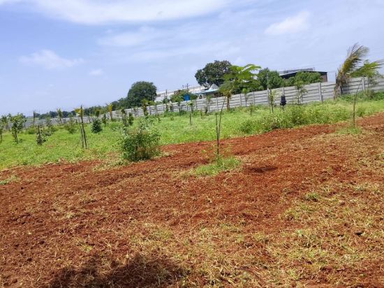 Picture of Luxury 1 Acre Farmhouse Land for Sale in SHAMASHABAD