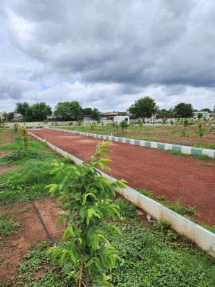 Picture of Open Land for Sale at Digwal Hyderabad