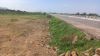 Picture of Open Plot for sale at Kanchikacharla, NTR Distrct , Andhra Pradesh