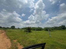 Picture of Open Plot for sale at Polepally, Jadcherla 