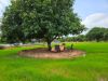 Picture of Iconic Farms( Shamakura Chitra Madhu Mudhiraj)