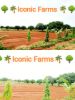 Picture of Iconic Farms( Shamakura Chitra Madhu Mudhiraj)